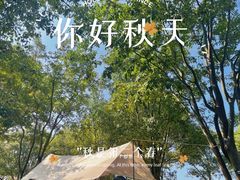 -上海辰山植物园