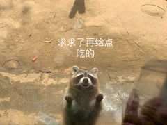-杭州野生动物世界