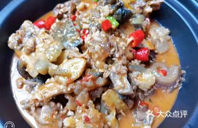 Gray Soup Turtle