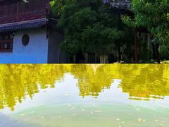 -水绘园