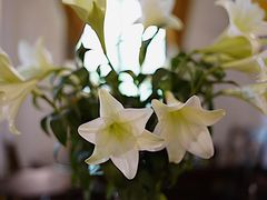 -花满楼(启秀路店)