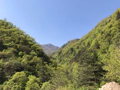 -肯德基(秦岭服务区店)
