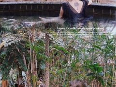 -龙达温泉生态城