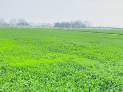 -中国天府农业博览园