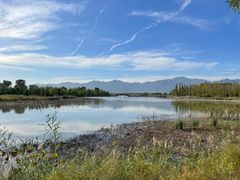 -野鸭湖国家湿地公园