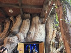 -郑州方特梦幻王国