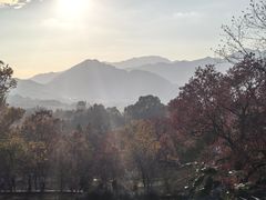 -塔川景区