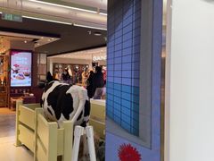 -红星前进面包牛奶公司(君太店)