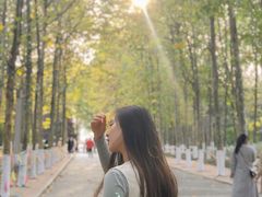 -八大关景区