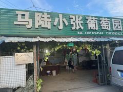 -马陆小张葡萄园农家乐