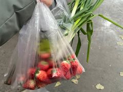 -舒记钵钵鸡