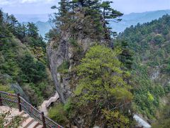 -秦岭天竺山生态文化旅游景区