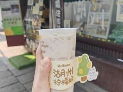 -猫的魔法密林(衣裳街店)