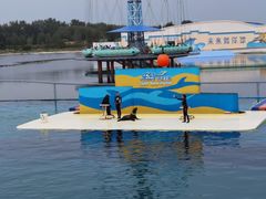 -秦皇岛乐岛海洋王国