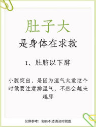 -Fundi张玉珊修身堂·indiba·BTL科技瘦身