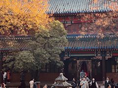 -灵谷景区