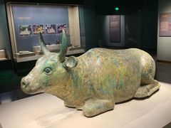 -宁夏博物馆