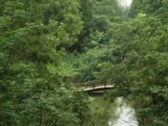 -黄海国家森林公园