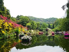 -深圳仙湖植物园