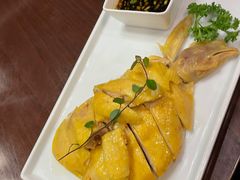 三黄鸡-大富贵(旗舰店)
