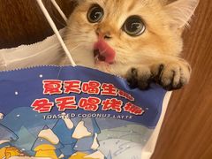 -守诺宠物医院·眼科· 神经外科·爬宠专科(虹口店)