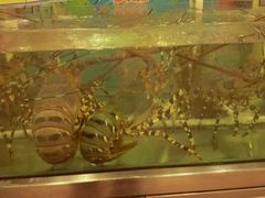 -东江海鲜酒家(客村店)
