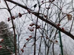 -北京西山国家森林公园