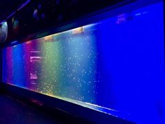 -临沂极地海洋王国
