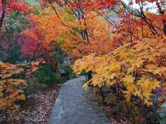 -本溪老边沟风景区