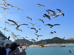 -海驴岛(荣成市)