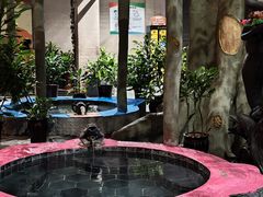 -兴芮温泉度假区