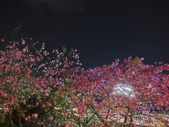 -福道