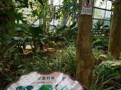 -南山植物园