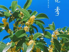 -白塘生态植物园