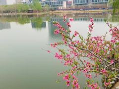 -大兴滨河森林公园