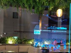 -蝴蝶汇音乐酒馆(罗湖店)