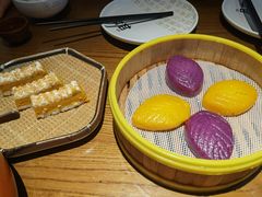 -美食小镇·观赏珍稀鸟类·长隆熊猫酒店