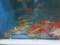 -东江海鲜大排档·潮汕菜·砂锅粥