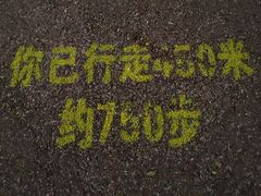-华侨公园