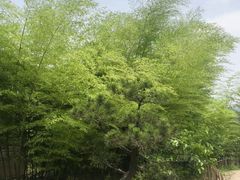 -驿舍·民國老营房院子私房菜(科学会堂店)