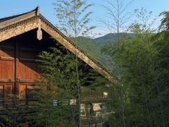 -大唐贡茶院