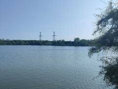 -大港湿地公园