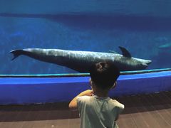 -福州罗源湾海洋世界旅游区