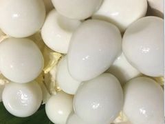 -海底捞火锅(龙岗星河COCO Park店)