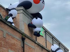 -西安电影制片厂