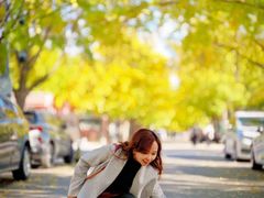 -三里屯东五街银杏大道