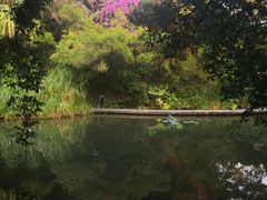 -燕晗山郊野公园