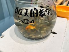 -猫的天空之城概念书店(杭州南宋御街店)