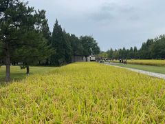 -北坞公园