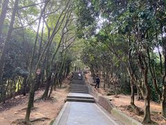 -阳台山森林公园